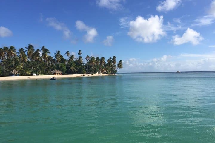 Design Your Own Tobago Tour — Custom Island Adventure