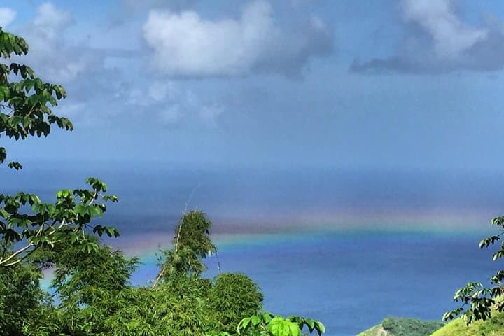 Design Your Own Tobago Tour — Custom Island Adventure photo 3