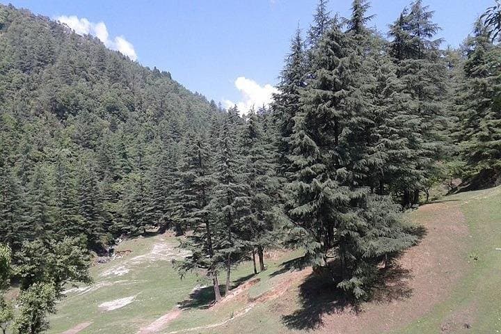 Mussoorie Weekend Escape: 3-Day Hill Station Tour from Delhi photo 2
