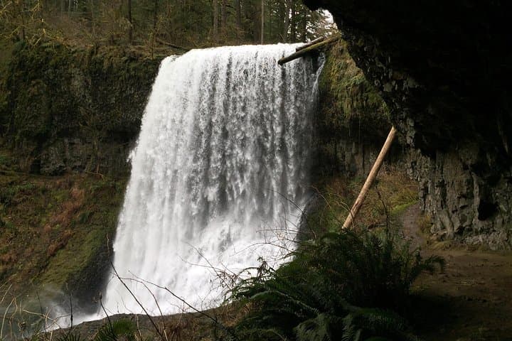 Silver Falls Hike: Guided Canyon Trail & Trail of Ten Falls Day Hike photo 3