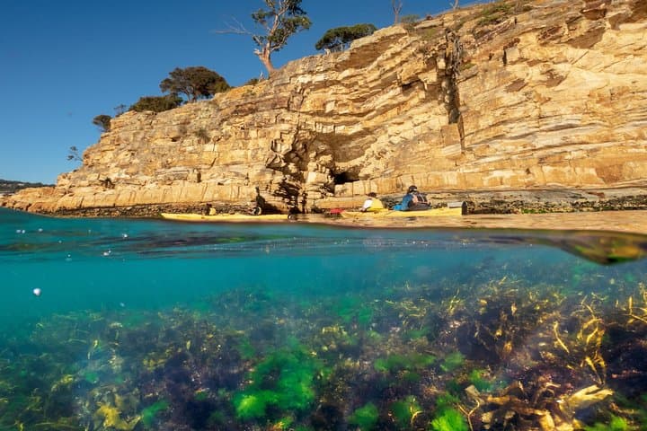 Paddle Storm Bay: Hobart’s Cliffs, Caves & Beaches Full-Day Kayak Tour photo 6
