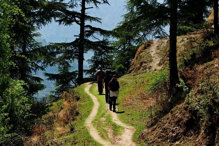 Mussoorie Ridge Treks: Jungle Cooking and 360° Summit Views