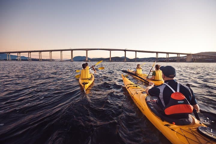 Hobart Kayak Tour: Paddle Sullivans Cove, Meet Seals & Sea Stars