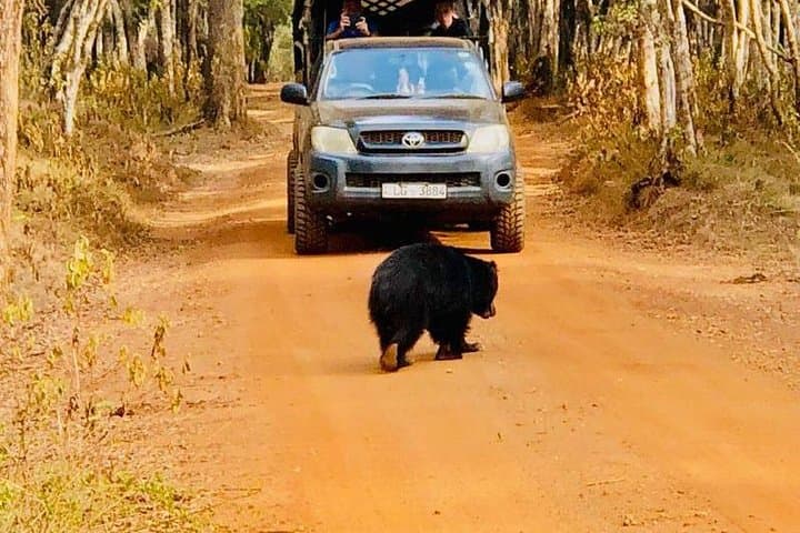 Private Udawalawe Jeep Safari — Elephant Encounters in Sri Lanka's Udawalawe National Park photo 2