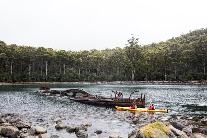 Tasman Peninsula Full-Day Sea Kayaking — Paddle Below 200m Cliffs & the Totem Pole photo 4