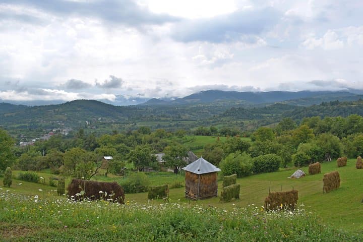 Top-Drawer Romania: Women-Only 10-Day Cultural & Carpathian Tour from Bucharest photo 4