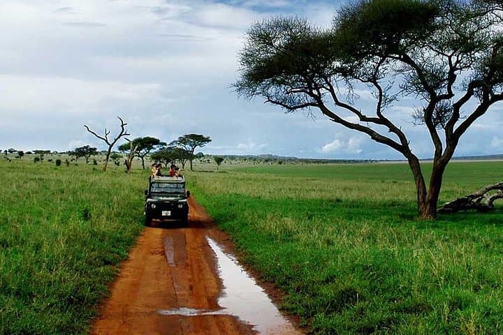 Tarangire National Park Day Safari — Elephants, Baobabs & River Plains photo 6