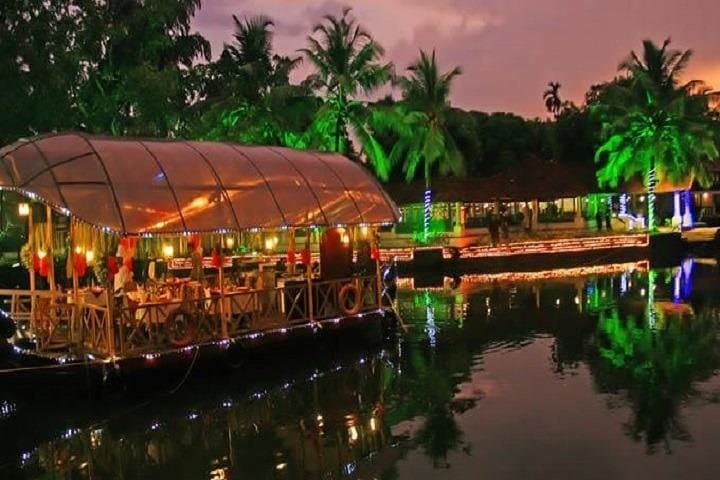 South India Luxury 9-Day Private Tour: Kerala Backwaters, Tea Country & Wildlife