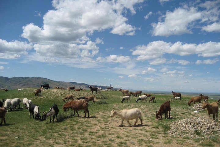 Mini Gobi & Kharkhorin: 4-Day Nomad, Dunes and Orkhon Valley Adventure photo 6
