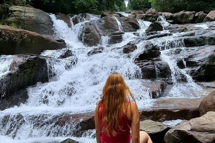 Kanneliya Rain Forest Trek: Birdwatching & Canopy Walks Near Galle