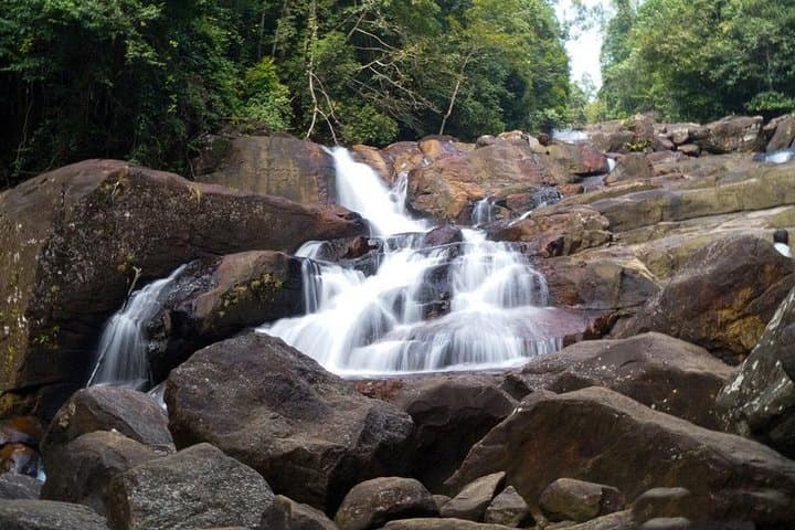 Kanneliya Rain Forest Trek: Birdwatching & Canopy Walks Near Galle photo 2