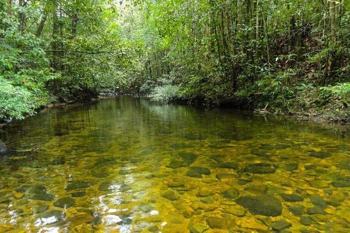Kanneliya Rain Forest Trek: Birdwatching & Canopy Walks Near Galle photo 3