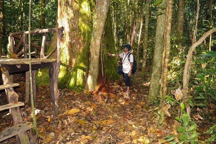 Kanneliya Rain Forest Trek: Birdwatching & Canopy Walks Near Galle photo 5