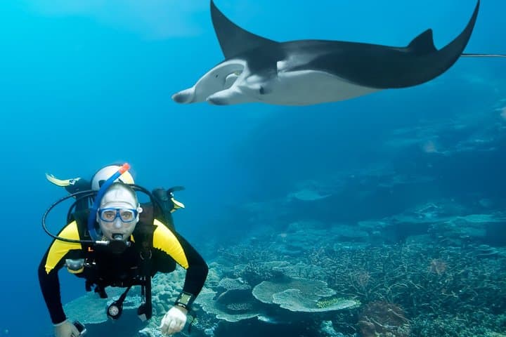 Double Dive Sal Island: Half-Day Scuba Adventure in Cape Verde