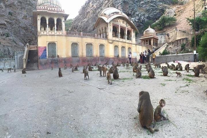14-Day North India Cultural & Heritage Tour from Delhi photo 2