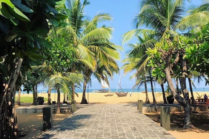 Pick of Sri Lanka: 9-Day Budget Loop from Colombo photo 3