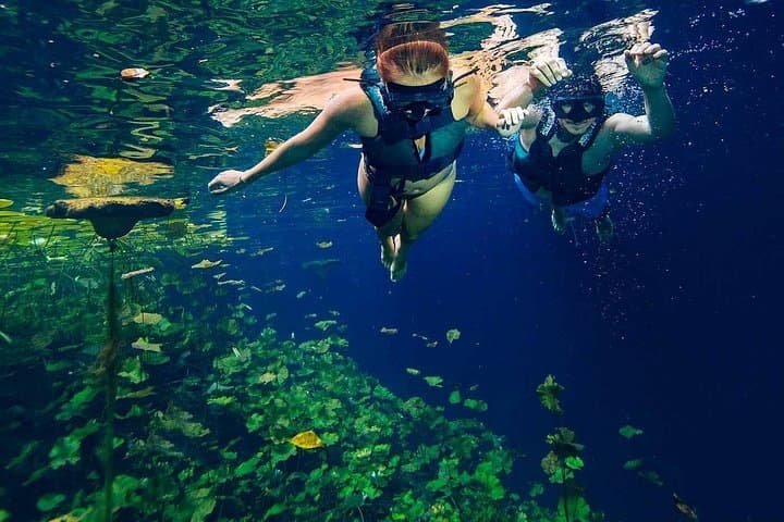 Xenotes Adventure from Riviera Maya: Swim, Zip, Kayak and Rappel Four Cenotes photo 1