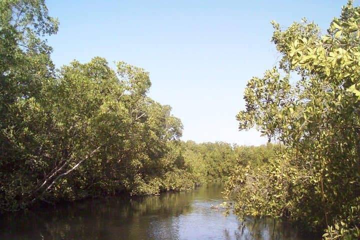 Somone Lagoon and Bandia Park Safari: Day Tour from Dakar photo 2