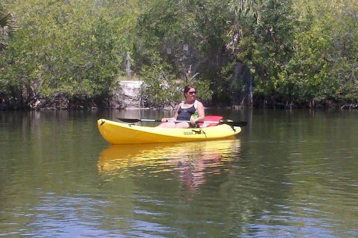 2-Hour Single Kayak Rental on the Indian River Lagoon — Manatee & Dolphin Sightings