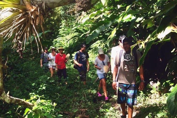Argyle Waterfall & Adventure Farm: Tobago Waterfall Swim and Hummingbird Viewing photo 6