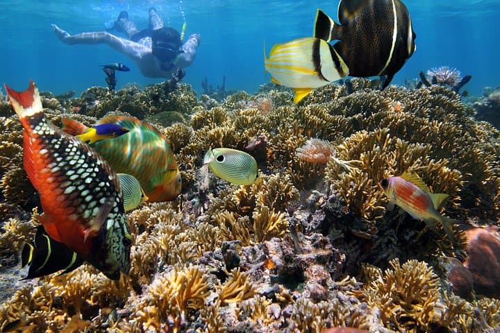 Diamond Head Hike and Hanauma Bay Snorkel – Oahu Half-Day Land & Sea Package photo 2