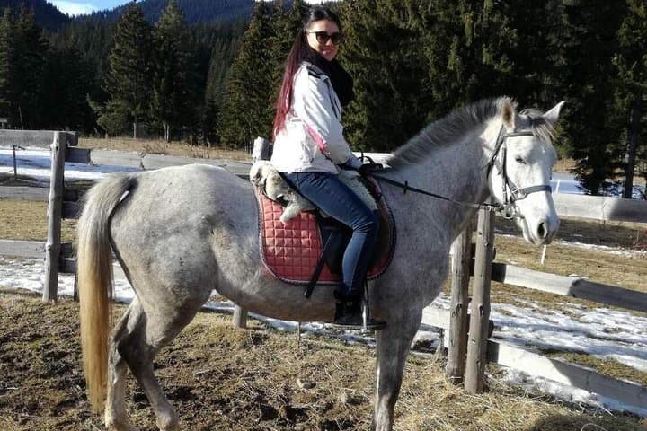 Horseback Riding in the Rhodope Mountains: Private Day Trip from Plovdiv