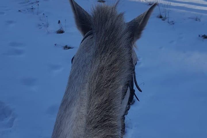 Horseback Riding in the Rhodope Mountains: Private Day Trip from Plovdiv photo 5