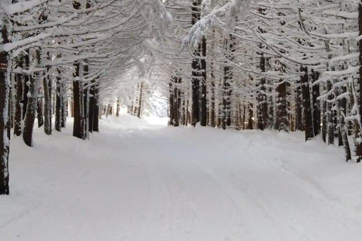 Private 2-Day Snowshoeing in Vitosha: Guided Winter Trek from Sofia photo 3