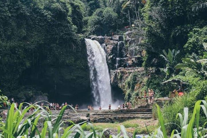 Private Ubud Day Tour — Monkey Forest, Tegalalang Rice Terraces & Tegenungan Waterfall photo 2