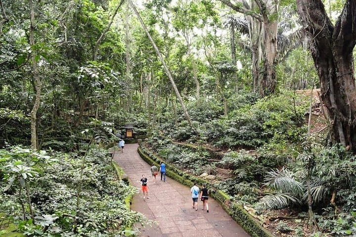 Private Ubud Day Tour — Monkey Forest, Tegalalang Rice Terraces & Tegenungan Waterfall photo 4
