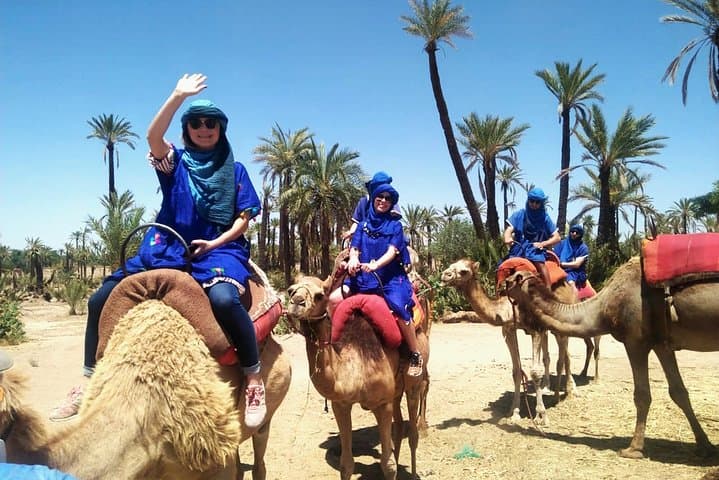 Camel Ride in Marrakech Palmeraie — 1.5-Hour Oasis Ride with Hotel Pickup