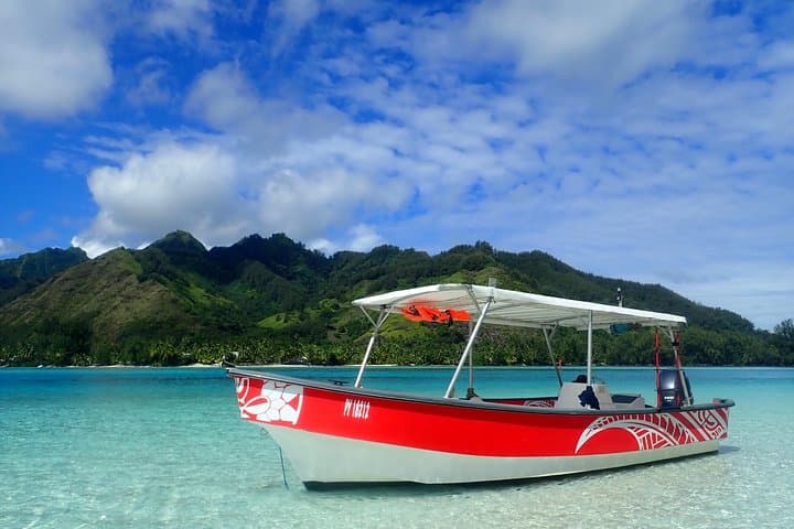 Half-Day Moorea Lagoon Boat Tour — Snorkel with Turtles, Rays & Sharks