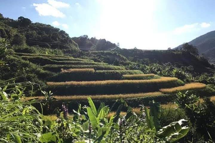 Pakheo Trek: 2-Day Hike from Phonsavan to Plain of Jars and Tad Kha Waterfall