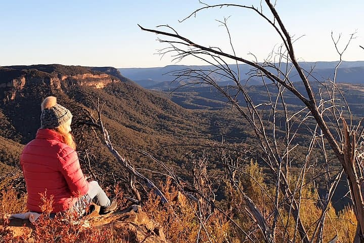 Blue Mountains Late-Start Wilderness & Wildlife Private Tour — Sunset Three Sisters & Koala VIP photo 4