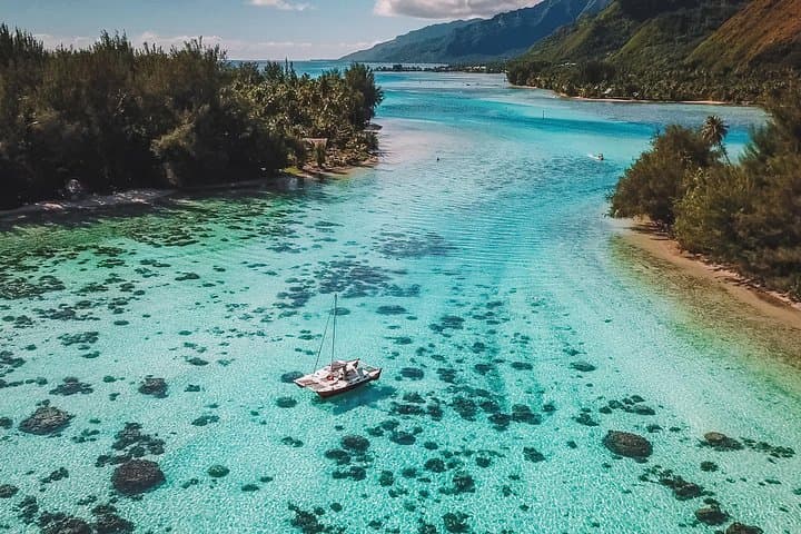 Half-Day Moorea Snorkel & Sail: Catamaran Taboo Lagoon Cruise photo 4