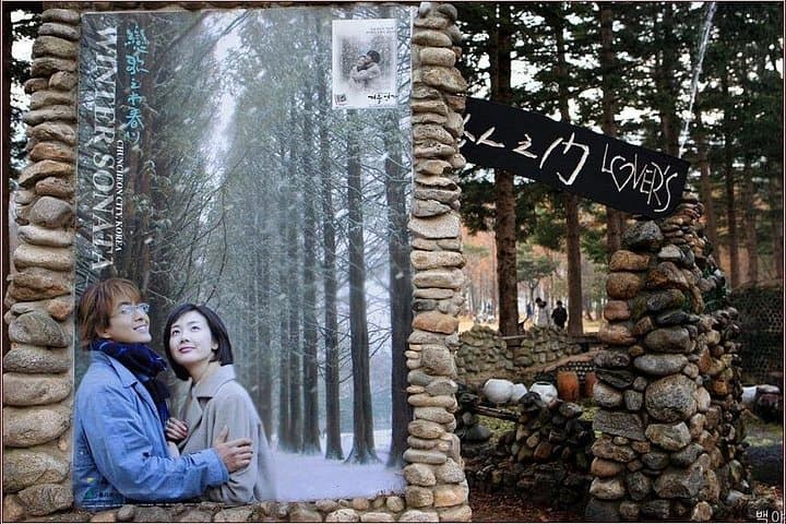 Private Day Trip to Nami Island & Elysian Gangchon Ski Resort from Seoul photo 3