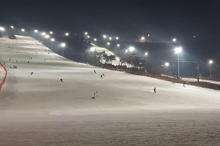 Private Day Trip to Nami Island & Elysian Gangchon Ski Resort from Seoul photo 4