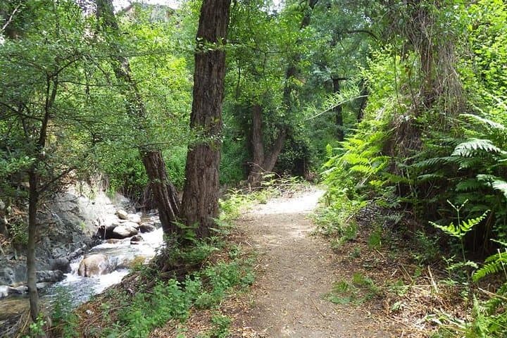 Artemis Trail & Old Kakopetria: High Troodos Walk with UNESCO Agios Nicolaos photo 3