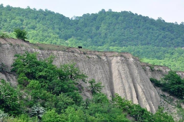 Explore Lankaran & Masalli: Hirkan Forest, Istisu Hot Springs and Coastal Reserves photo 3