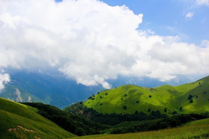 Explore Lankaran & Masalli: Hirkan Forest, Istisu Hot Springs and Coastal Reserves photo 4
