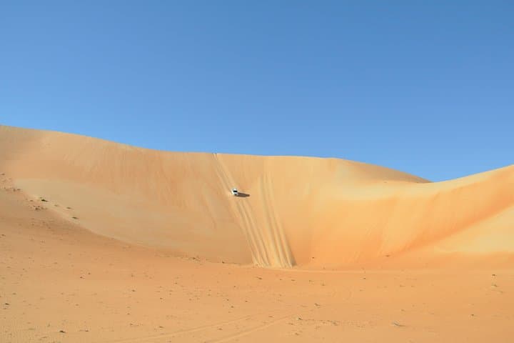 Liwa Full-Day Desert Safari: Dune Driving, Sandboarding & Oasis Visits
