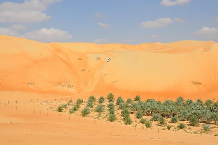 Liwa Full-Day Desert Safari: Dune Driving, Sandboarding & Oasis Visits photo 2