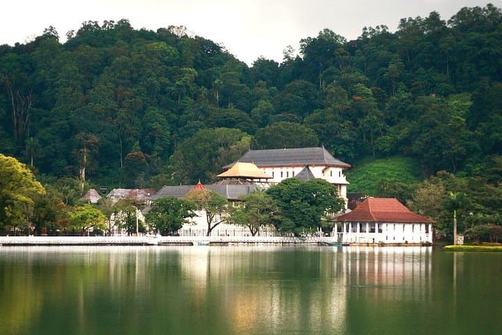 Private Sri Lanka Tour: Kandy, Sigiriya, Galle & Bentota (6 Nights) photo 6