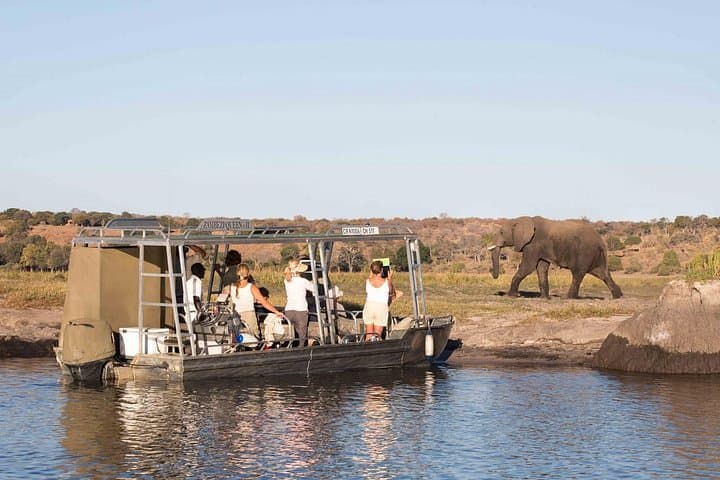 Chobe Full Day Trip: Game Drive and Chobe River Safari from Livingstone photo 6