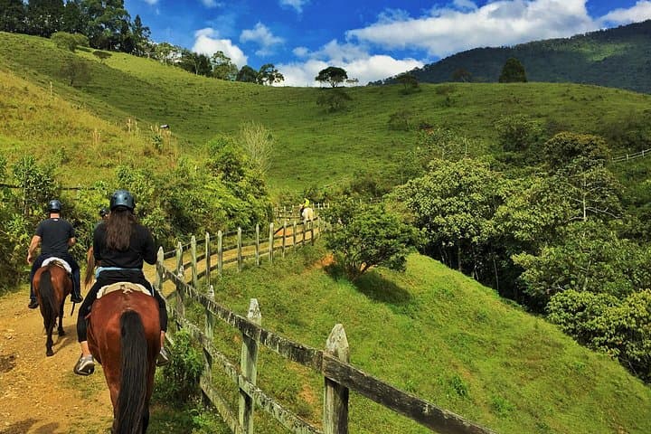 Authentic Colombian Horseback Ride: Hacienda Adrenalina Day Trip from Medellín photo 4