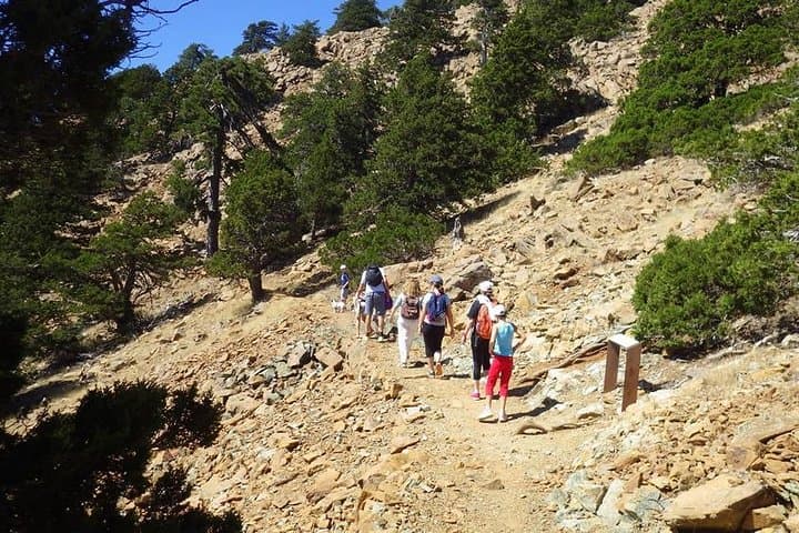 Troodos Walking Trip: Artemis Trail and Myllomeris Waterfalls Day Hike photo 3