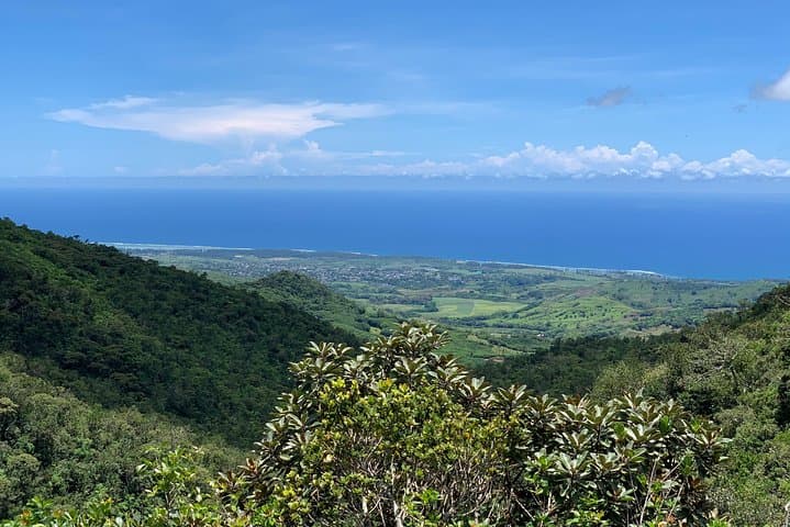 Full-Day South West Mauritius Tour: Chamarel, Black River & Grand Bassin photo 2