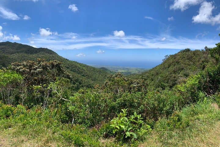 Private Southwest Mauritius Day Tour — Chamarel, Seven Colored Earth & Grand Bassin photo 6