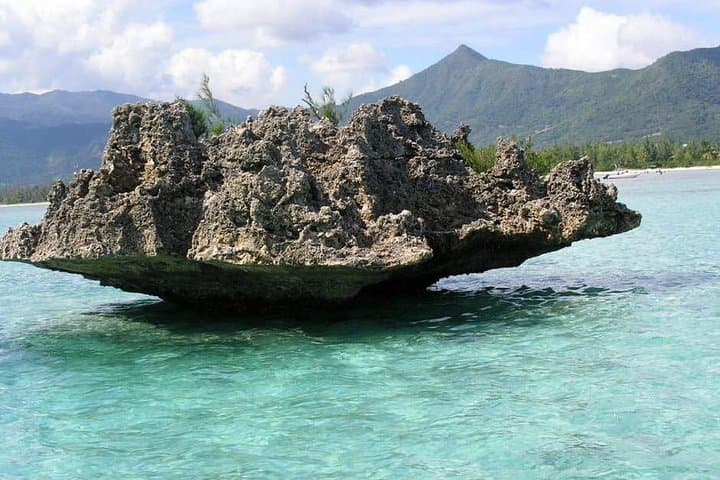 Mauritius Dolphin Watching Cruise: Swim with Dolphins & Snorkel Crystal Rock photo 2