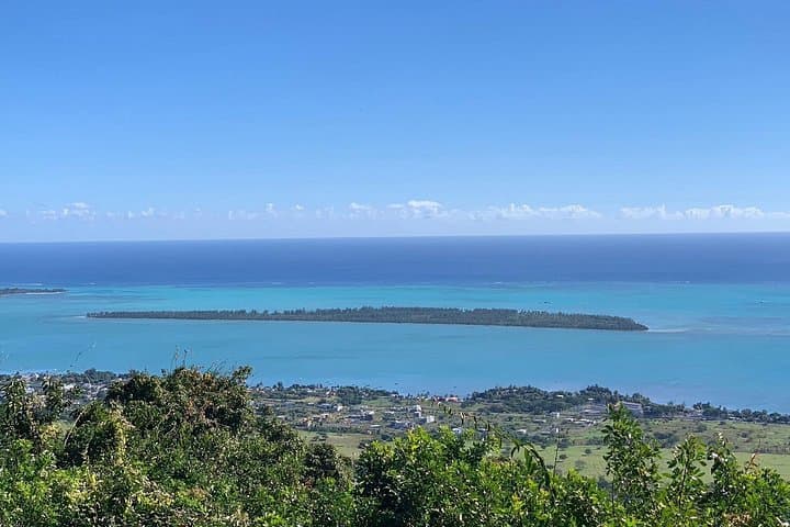 Open-Sea Dolphin Swim and Southwest Mauritius Day Tour with Lunch photo 3